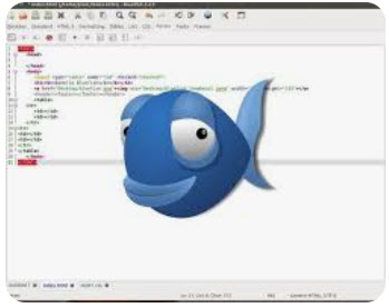 Linux