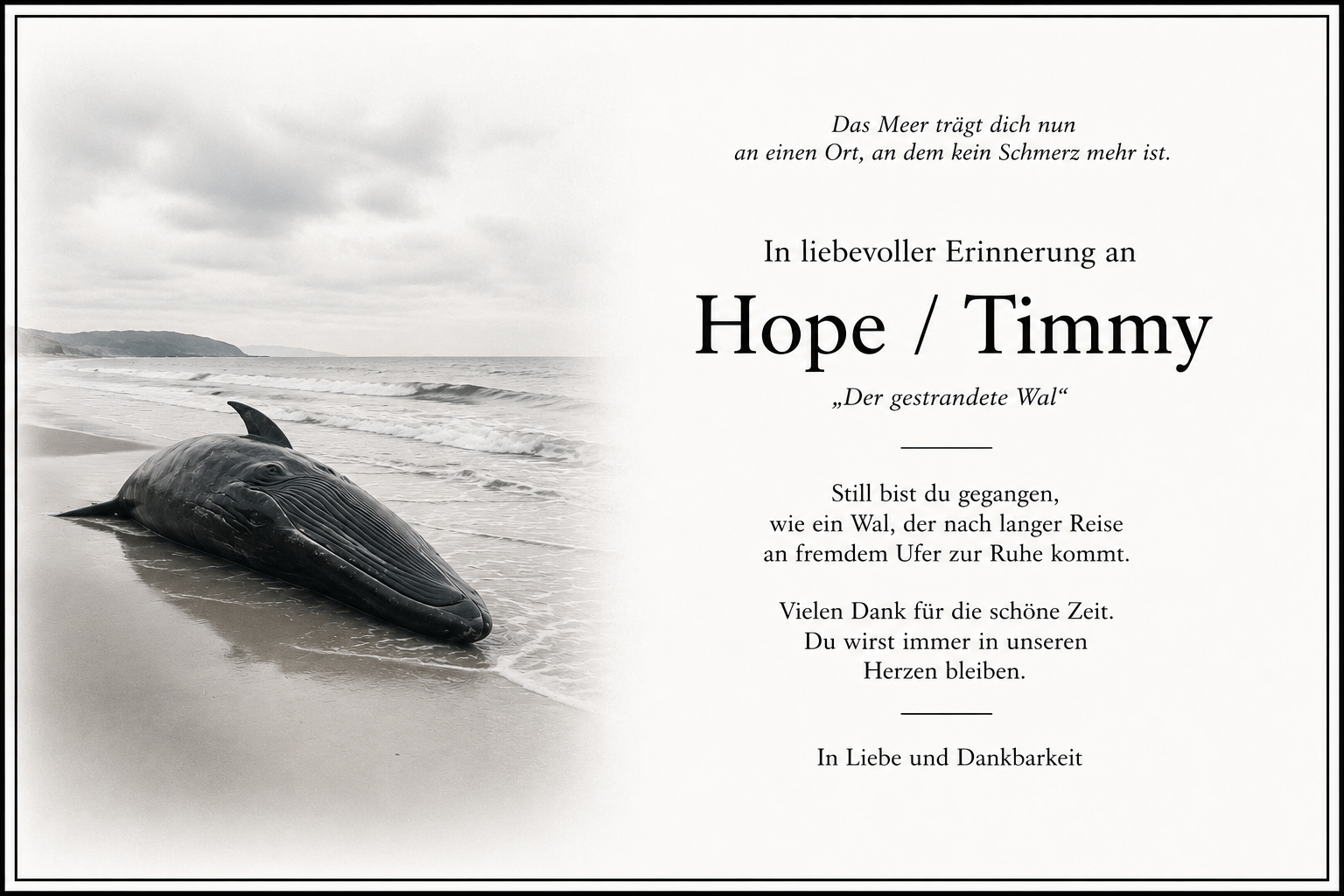 Sterbeanzeige von Hope / Timmy
